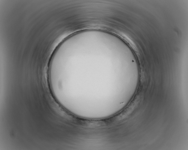 X0000113870899200910221332