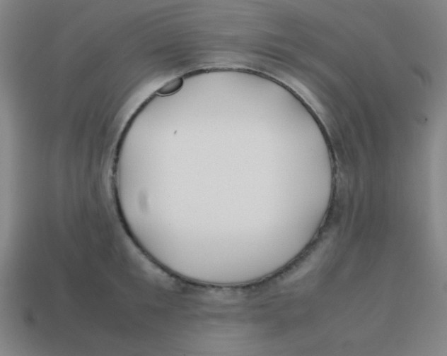 X0000113870901200910221332