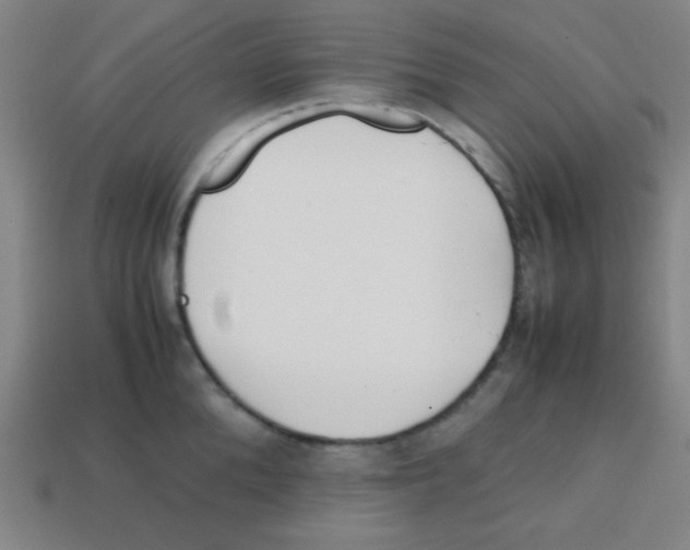 X0000113870904200910221332