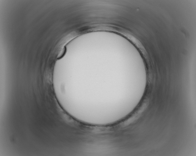 X0000113870905200910221332