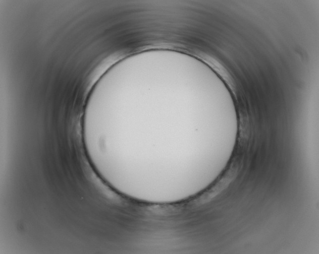 X0000113870906200910221332