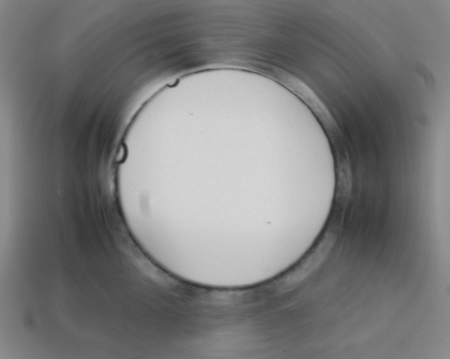 X0000113870908200910221332