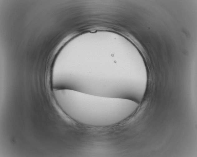 X0000113870909200910221332