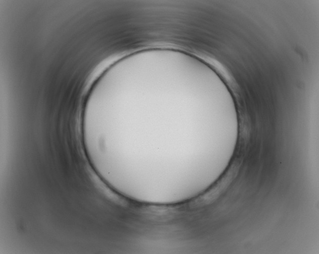 X0000113870910200910221332