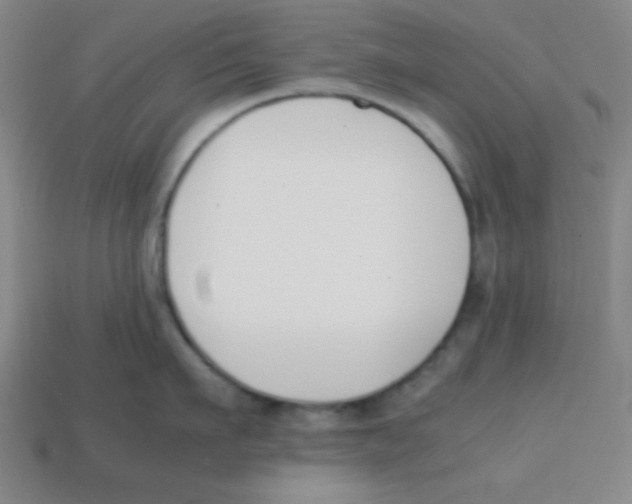 X0000113870911200910221332