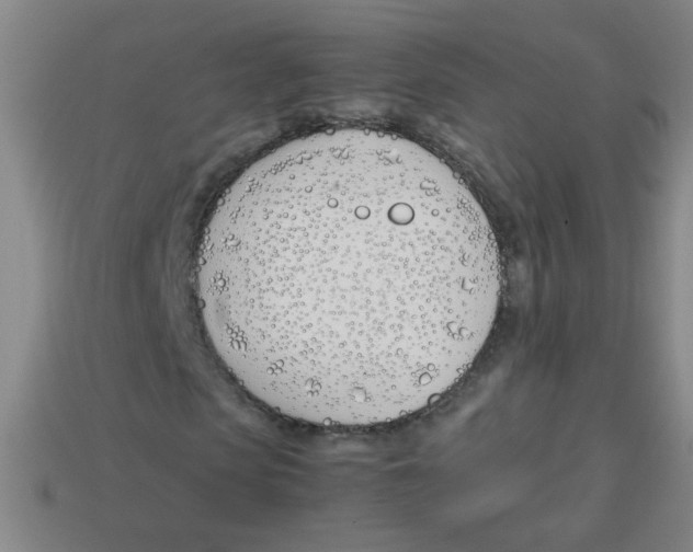 X0000113870913200910221331