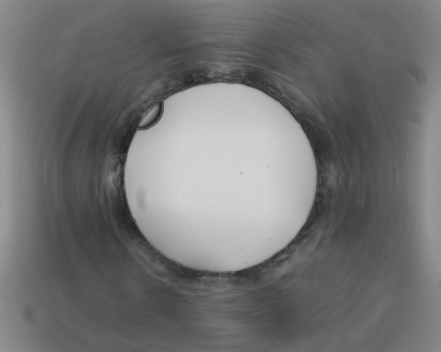 X0000113870914200910221331