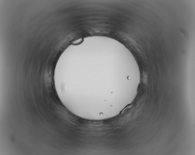 X0000113870915200910221331