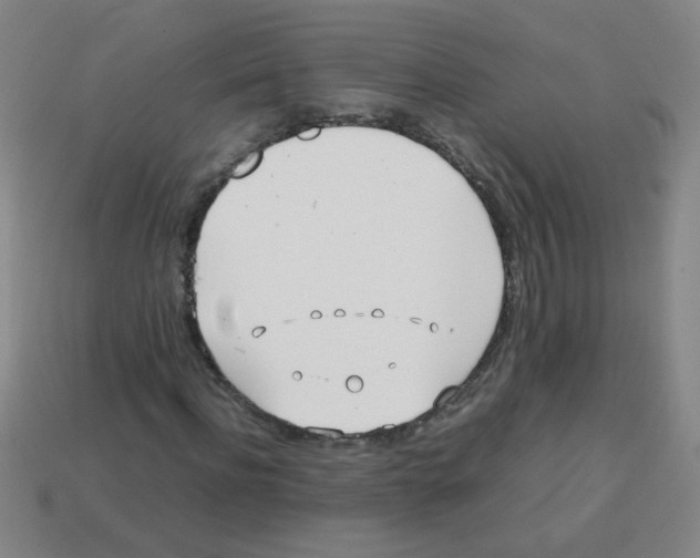 X0000113870916200910221331