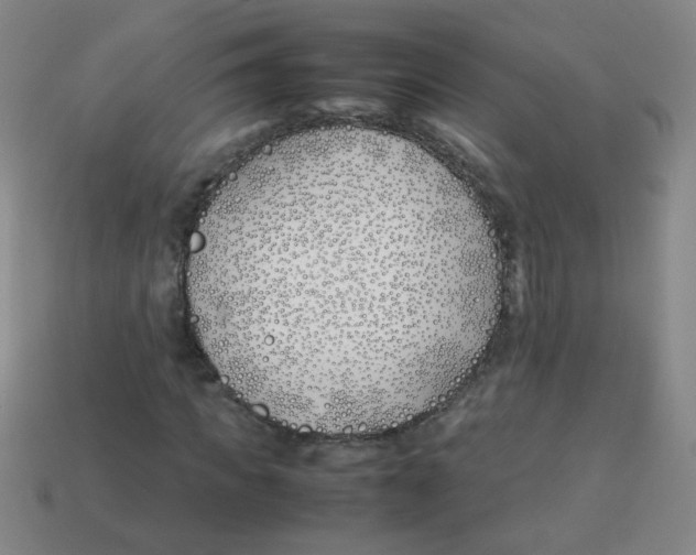 X0000113870917200910221331
