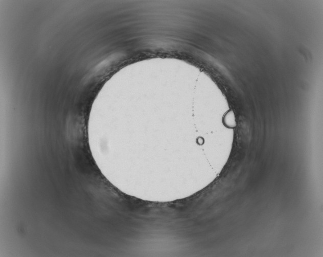 X0000113870918200910221331