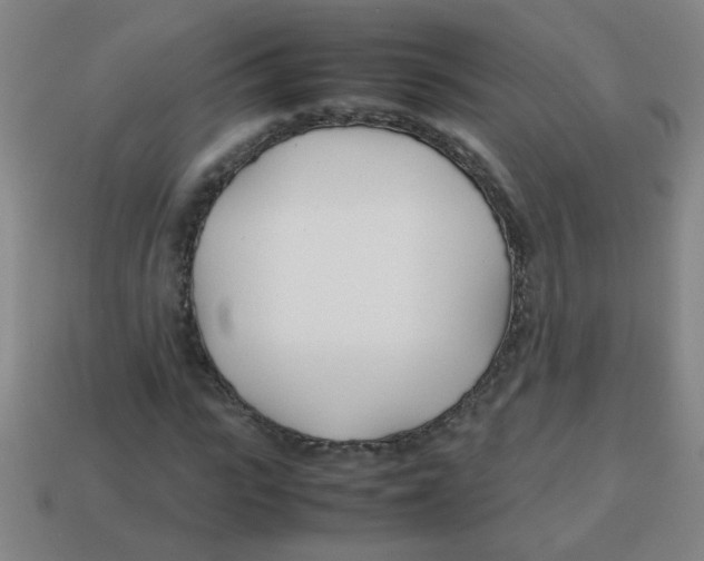 X0000113870919200910221331