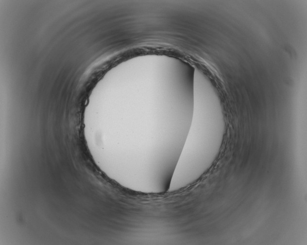 X0000113870920200910221331