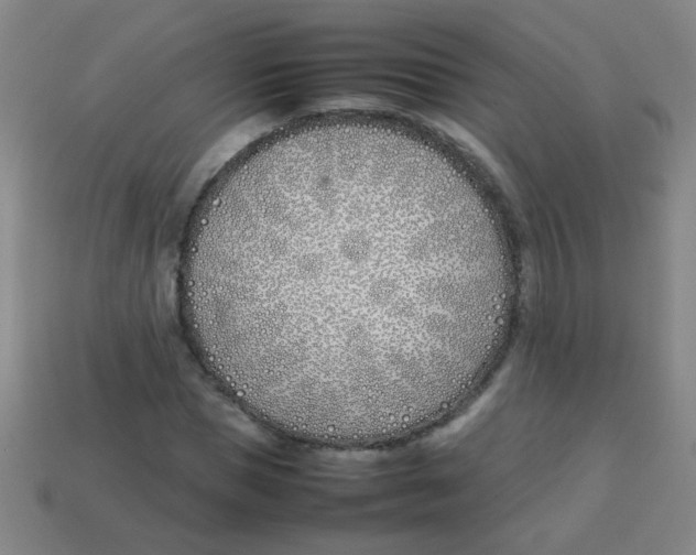 X0000113870921200910221331