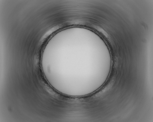 X0000113870922200910221331