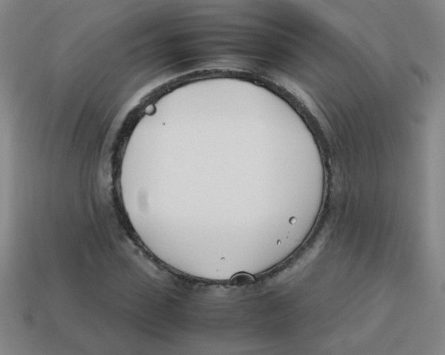 X0000113870923200910221331