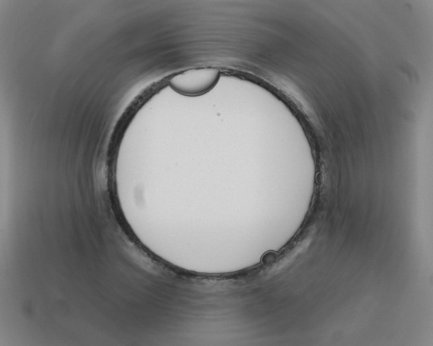 X0000113870924200910221331