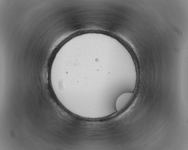 X0000113870925200910221331