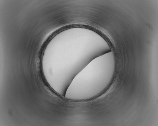 X0000113870926200910221331