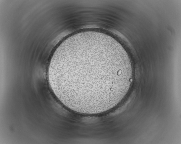 X0000113870929200910221332