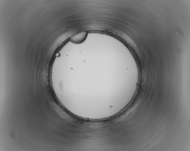 X0000113870930200910221332