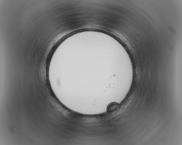 X0000113870931200910221332