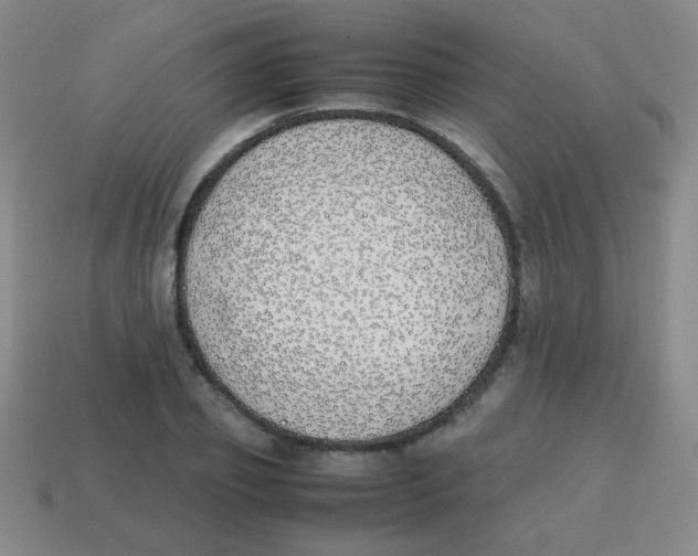 X0000113870933200910221332