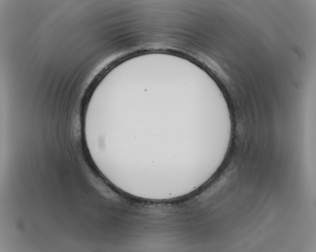 X0000113870934200910221332