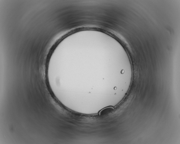 X0000113870935200910221332