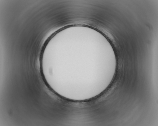 X0000113870936200910221332