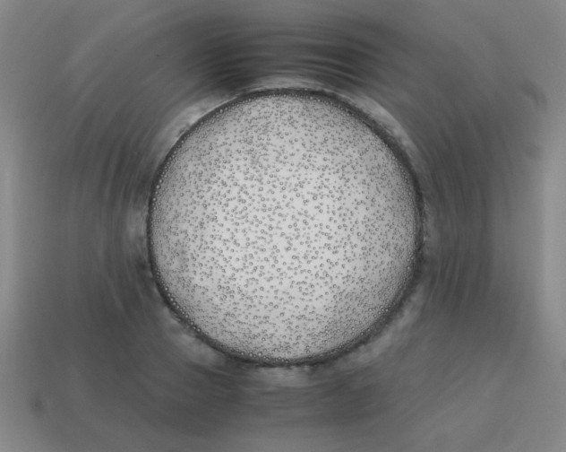 X0000113870937200910221332