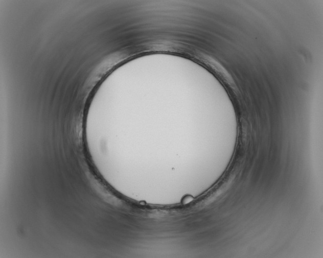 X0000113870938200910221332