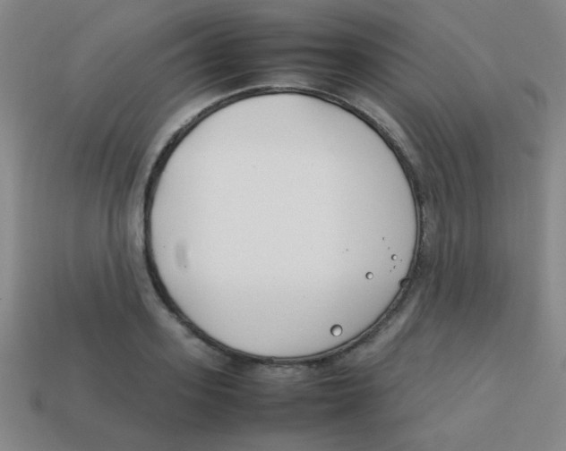 X0000113870939200910221332
