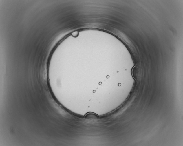 X0000113870940200910221332