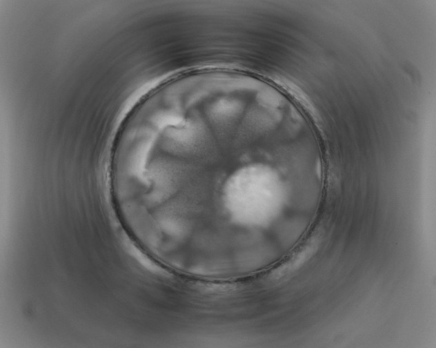 X0000113870941200910221332