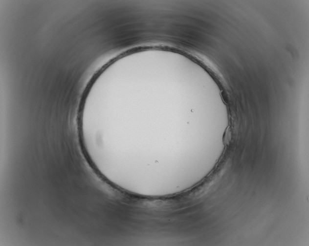 X0000113870943200910221332