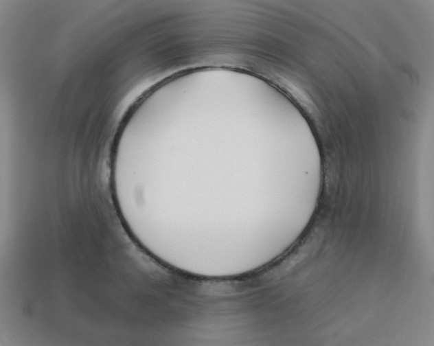 X0000113870944200910221332