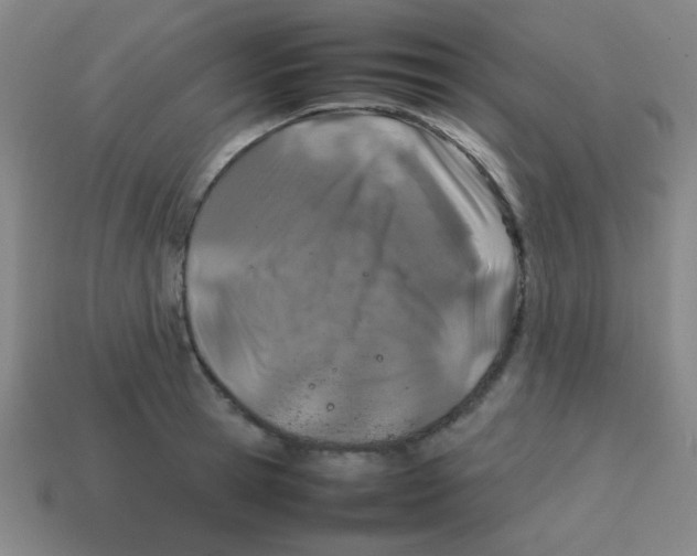 X0000113870945200910221332