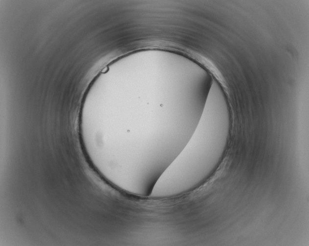 X0000113870946200910221332