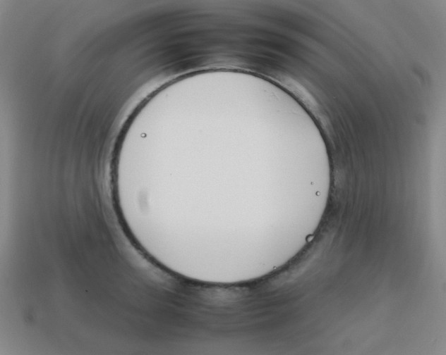 X0000113870947200910221332