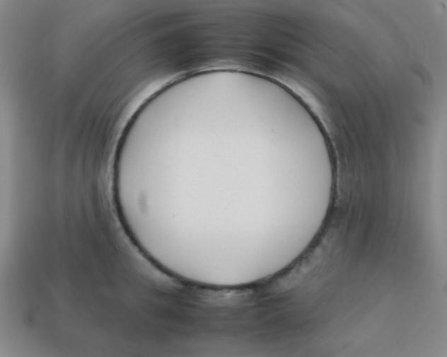 X0000113870949200910221332