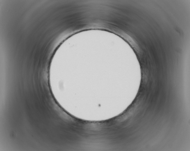 X0000113870950200910221332