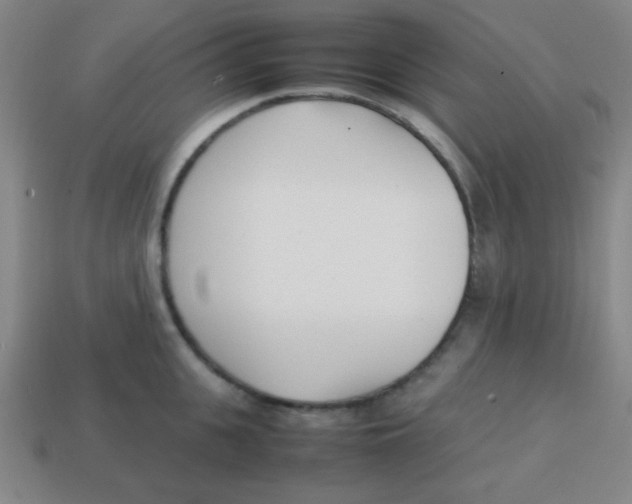 X0000113870951200910221332