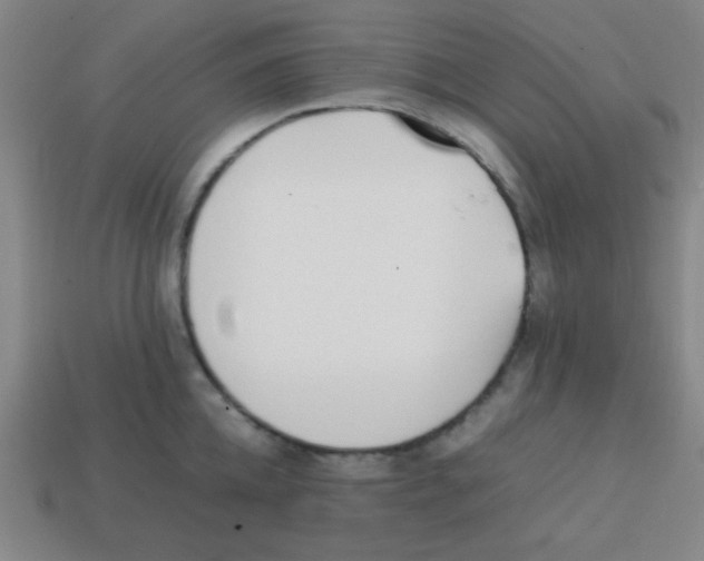 X0000113870952200910221332