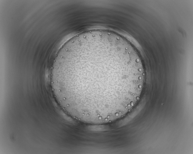 X0000113870953200910221332