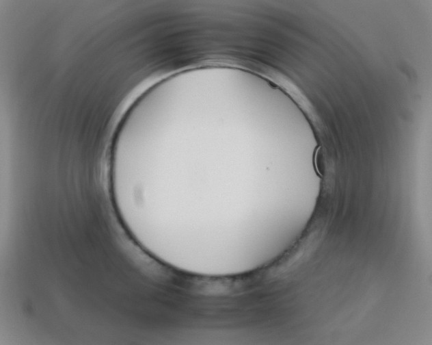 X0000113870955200910221332