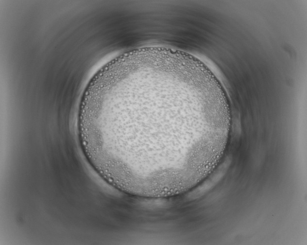X0000113870957200910221332
