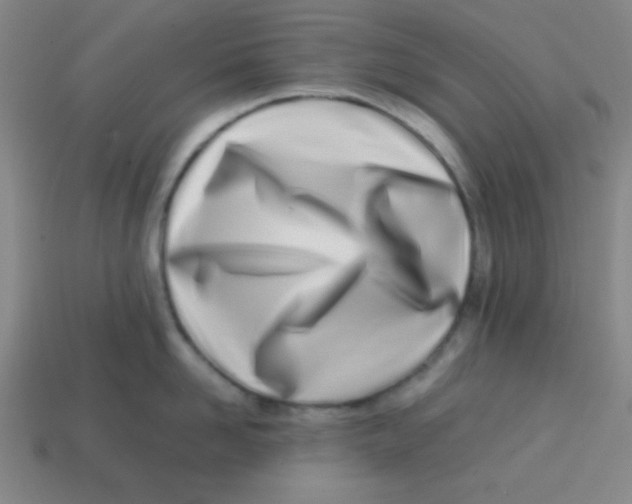 X0000113870958200910221332