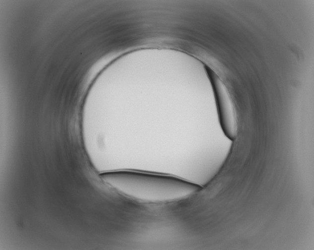 X0000113870960200910221332