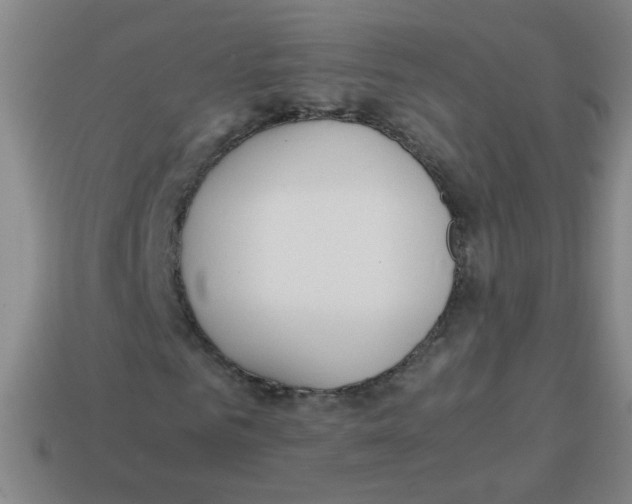 X0000113870961200910221331